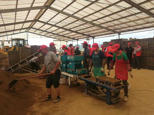 我縣舉辦水稻工廠化育秧技術觀摩活動